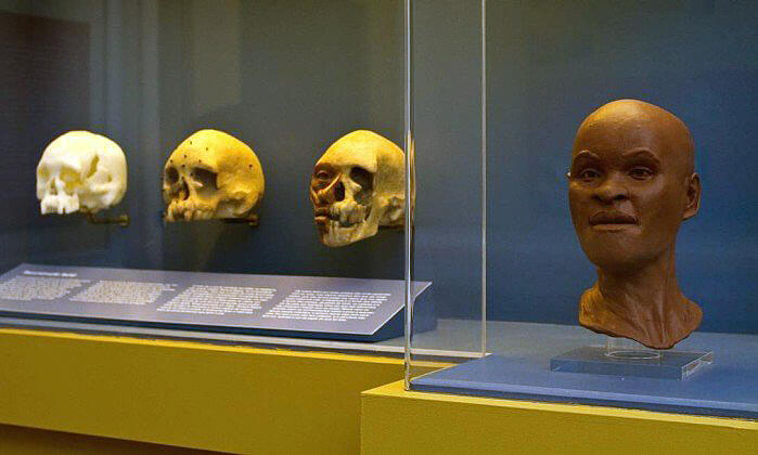 Item de acervo perdido no incêndio do Museu Nacional no Rio de Janeiro: Crânio e reconstituição facial de Luzia o fóssil humano mais antigo encontrado no Brasil