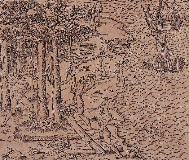 O pau-brasil foi instrumento de troca e aquisição no Brasil Colonial. Na ilustração, índios realizam o corte do pau-brasil.