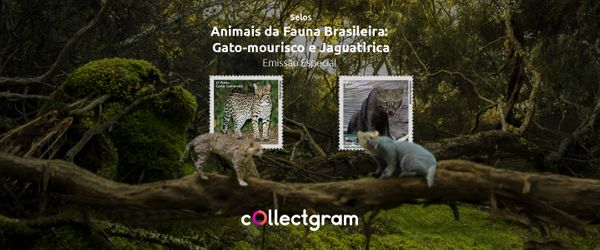 Selo do gato-mourisco e jaguatirica: Animais da Fauna Brasileira